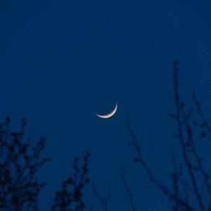 主播下乡勾孤寡老头tv
